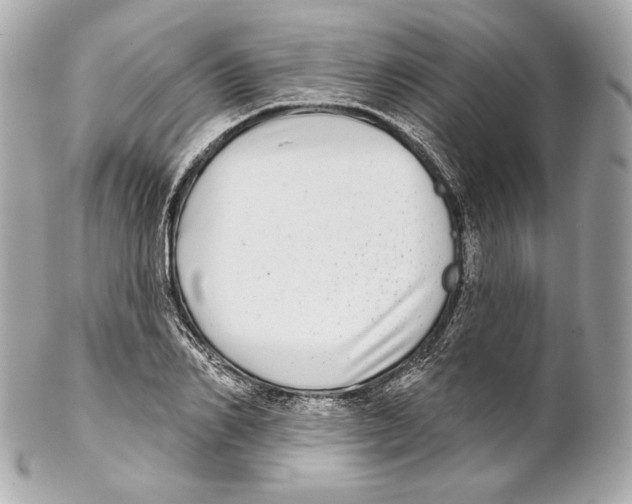 X0000102020982200808151311