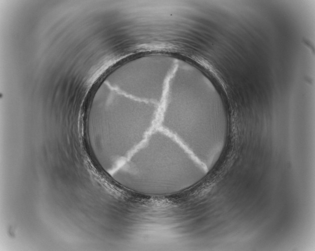 X0000102020983200808151311