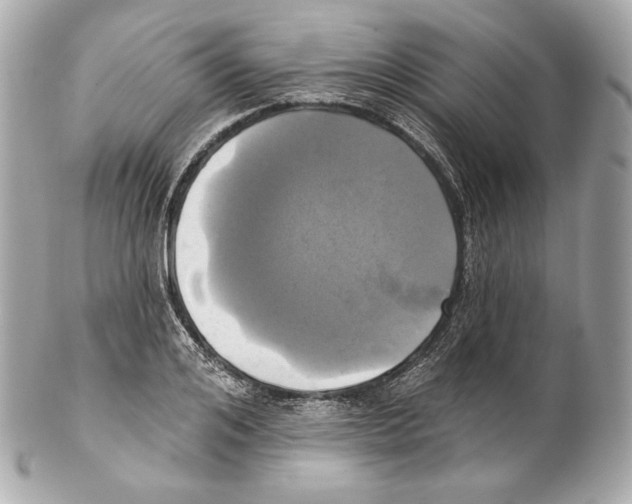 X0000102020984200808151311
