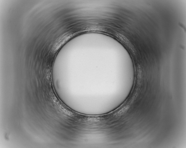 X0000102020985200808151311