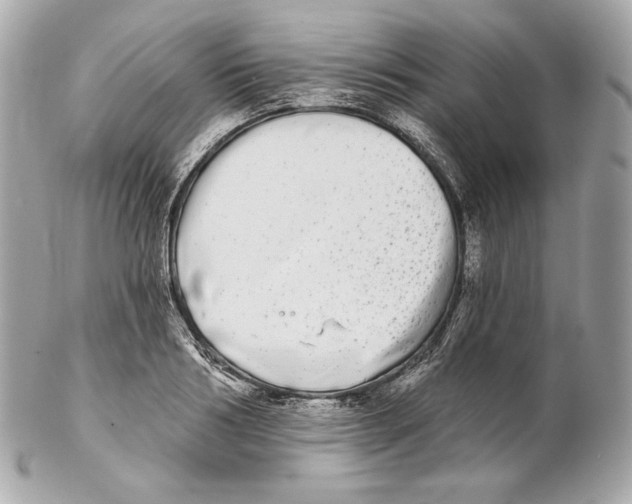 X0000102020986200808151311