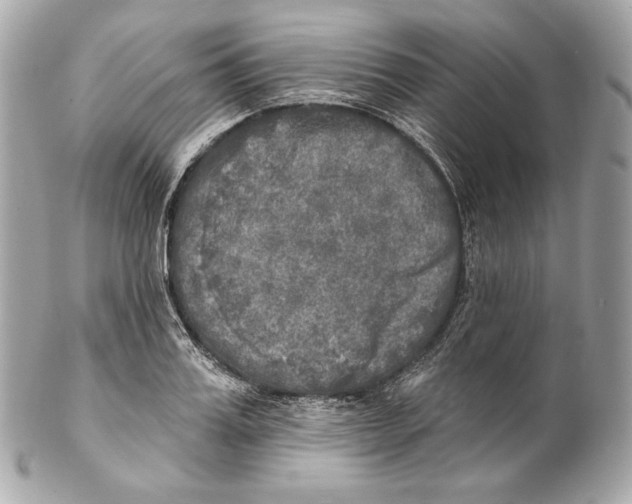 X0000102020987200808151311