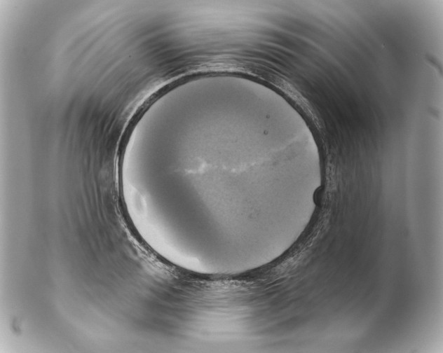X0000102020988200808151311