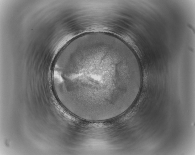 X0000102020990200808151311