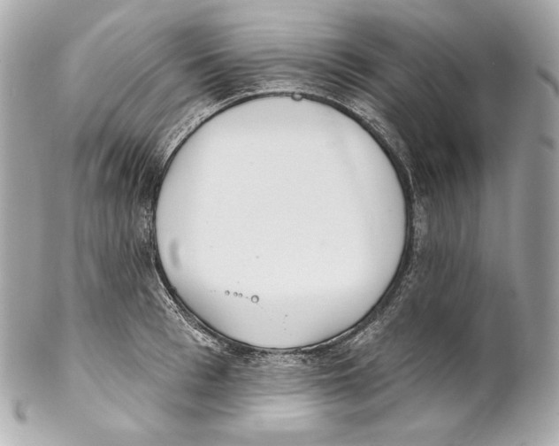 X0000102020993200808151311