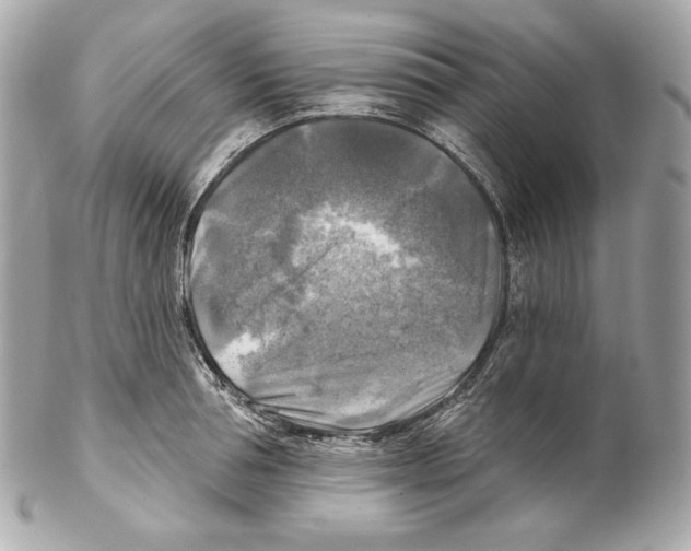 X0000102020994200808151311