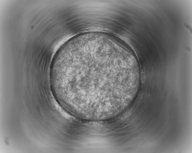 X0000102020995200808151311