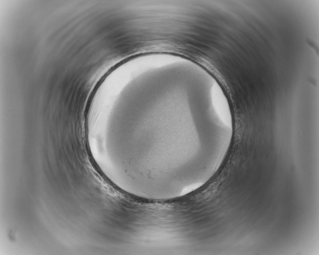 X0000102020996200808151311