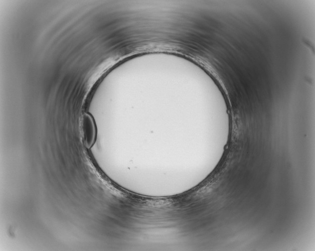X0000102020997200808151311