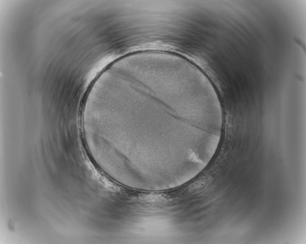 X0000102020998200808151311