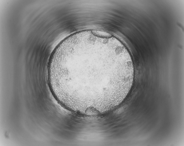 X0000102020999200808151311