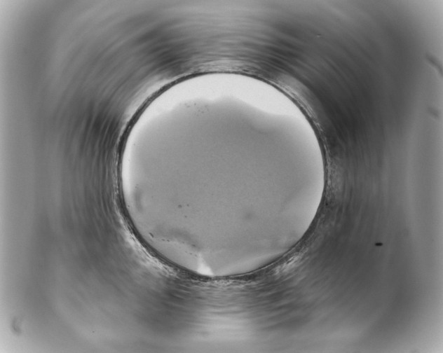 X0000102021000200808151311