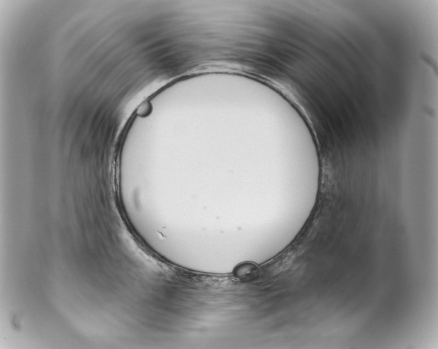 X0000102021003200808151311