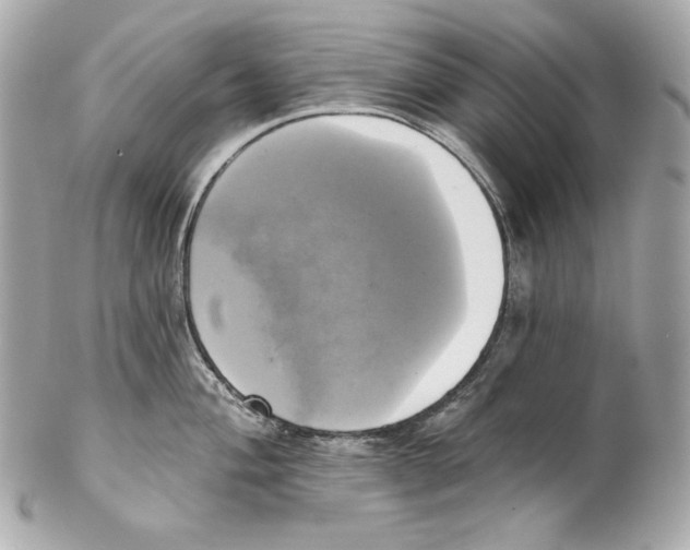 X0000102021004200808151311