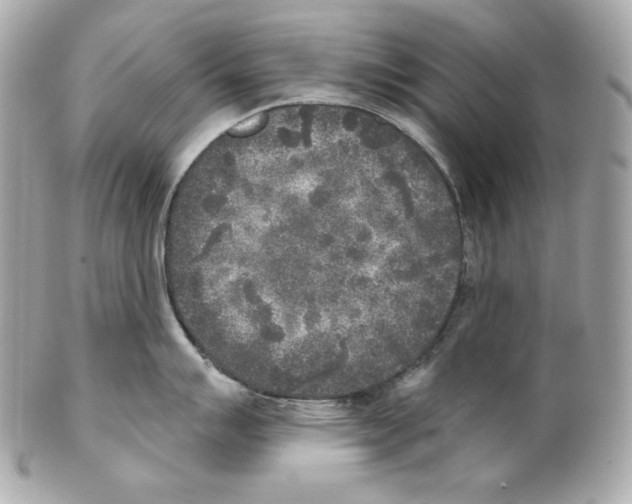 X0000102021007200808151311