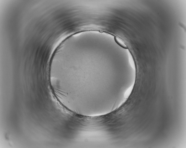 X0000102021008200808151311