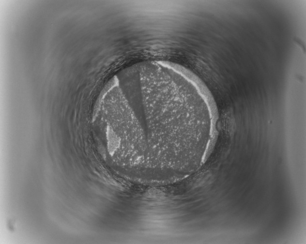 X0000102021009200808151310