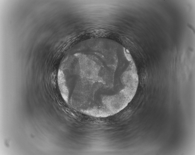 X0000102021010200808151310