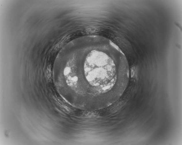 X0000102021011200808151310