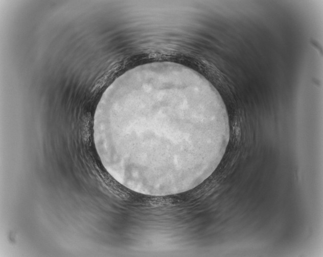 X0000102021012200808151310
