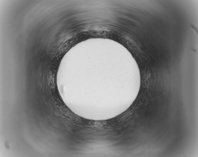 X0000102021013200808151310