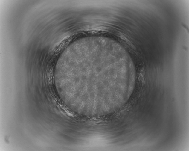 X0000102021014200808151310