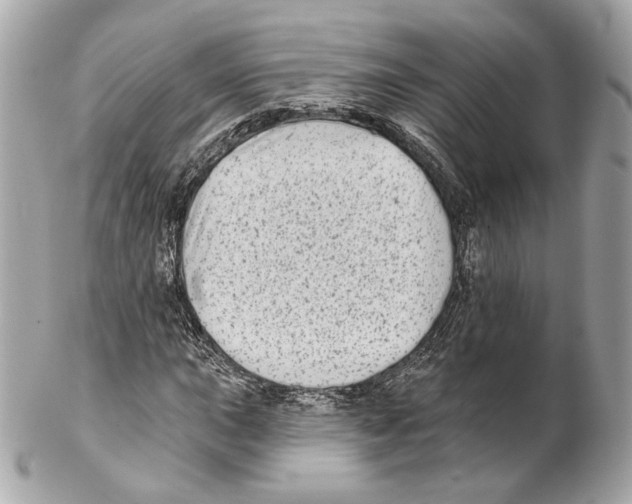 X0000102021015200808151310