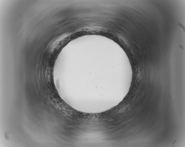 X0000102021016200808151310