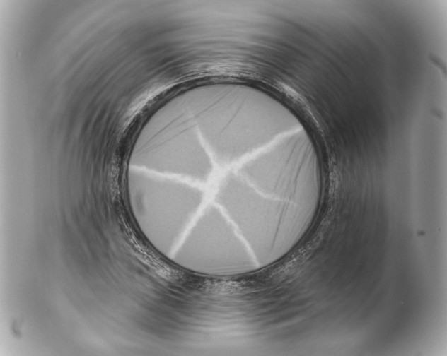 X0000102021019200808151310