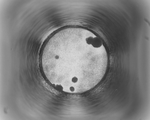 X0000102021020200808151310