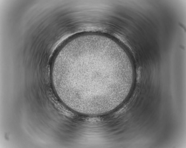 X0000102021021200808151310