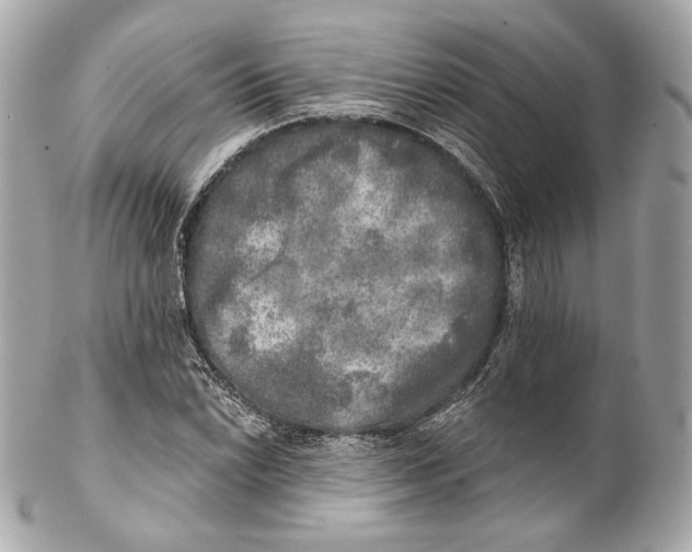 X0000102021022200808151310