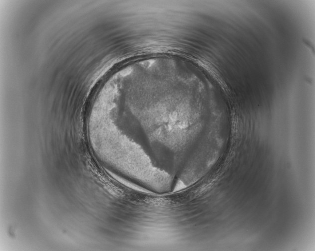 X0000102021023200808151310