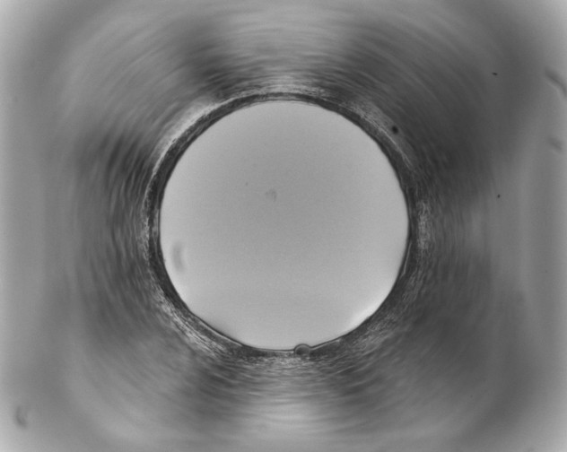 X0000102021024200808151310