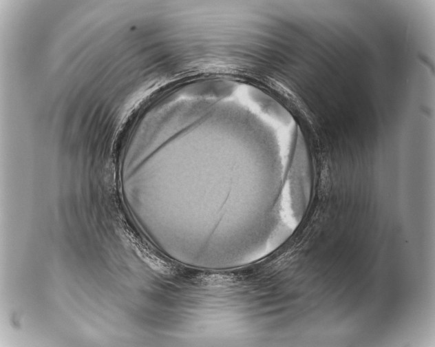 X0000102021027200808151310