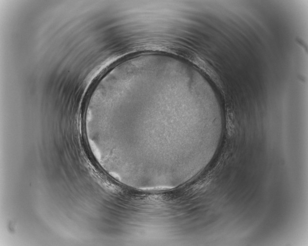 X0000102021028200808151310