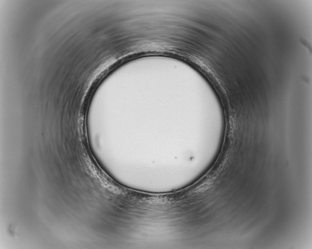 X0000102021029200808151310