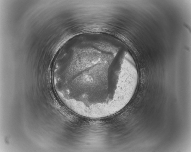 X0000102021031200808151310