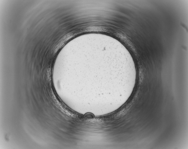 X0000102021033200808151311