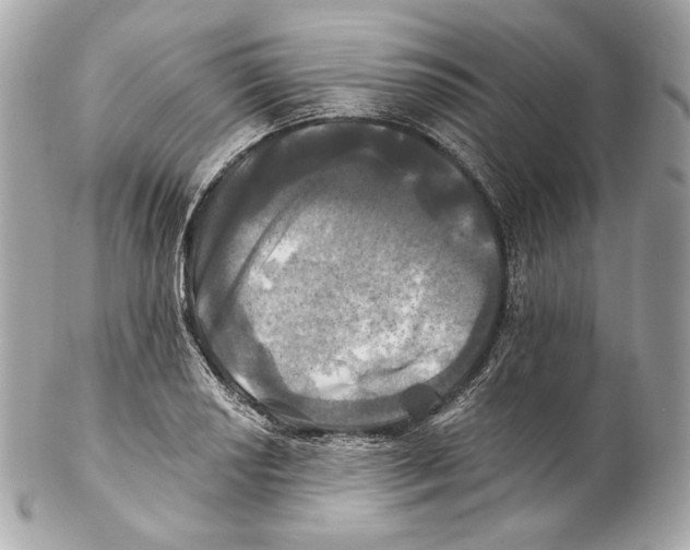 X0000102021034200808151311