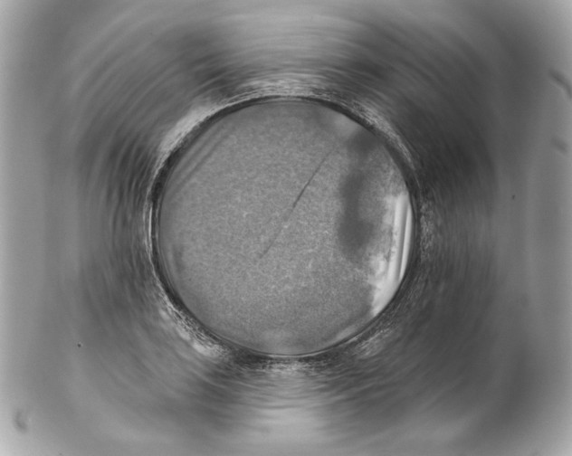 X0000102021035200808151311