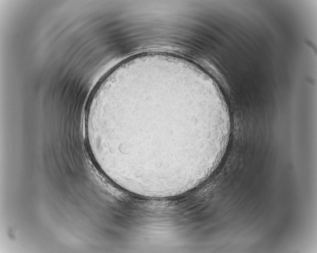 X0000102021036200808151311