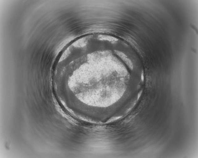X0000102021038200808151311