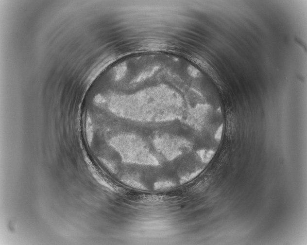 X0000102021039200808151311