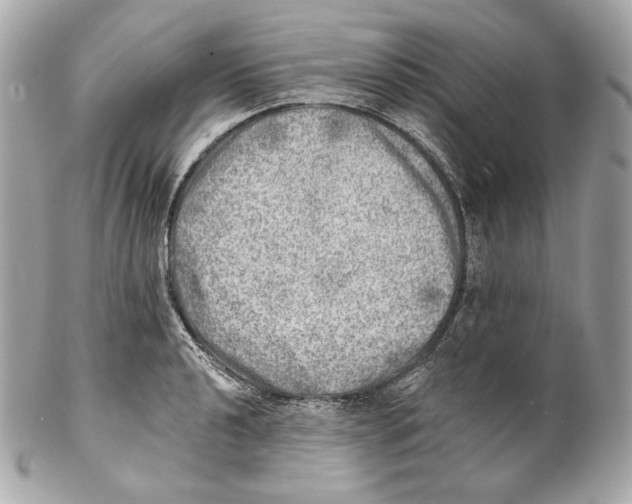 X0000102021040200808151311