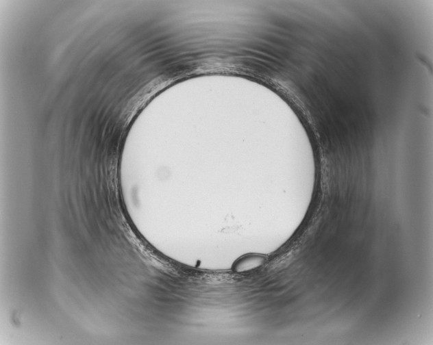 X0000102021041200808151311
