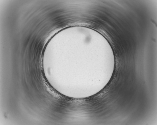 X0000102021044200808151311