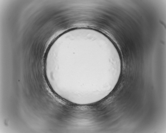 X0000102021045200808151311
