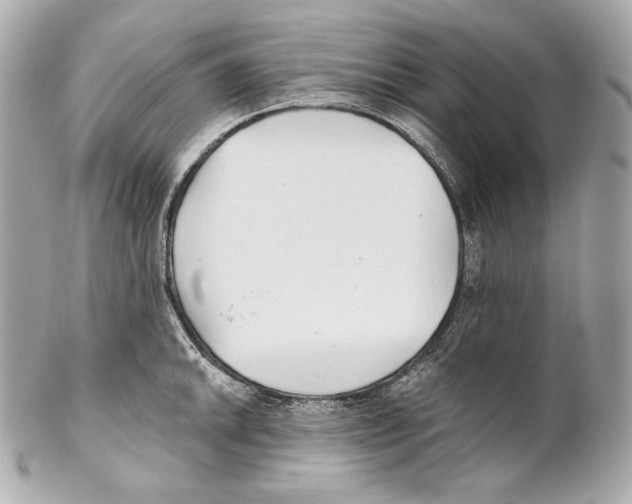 X0000102021046200808151311