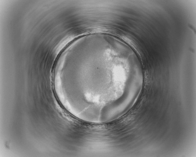 X0000102021047200808151311